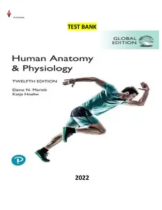 Done - COMPLETE - Elaborated Test bank for Human Anatomy & Physiology 12Ed.  by Elaine N. Marieb & Katja Hoehn thumbnail