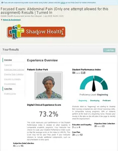 1.Focused Exam Abdominal Pain Care Plan-NURS 3315-Holistic Health Assessment across the Lifespan thumbnail