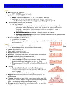 Pathophysiology_Final_Exam_Study_Guide_1 thumbnail