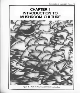Mushroom Cultivator_ A Practical Guide to Growing Mushrooms at Home thumbnail