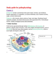 Pathophysiology Sturdy Guide - 2024 thumbnail