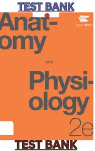 Test Bank for Anatomy and Physiology 2nd Edition by OpenStax 2024 thumbnail