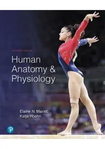 Human Anatomy and Physiology 11th Edition by Marieb Test Bank... thumbnail