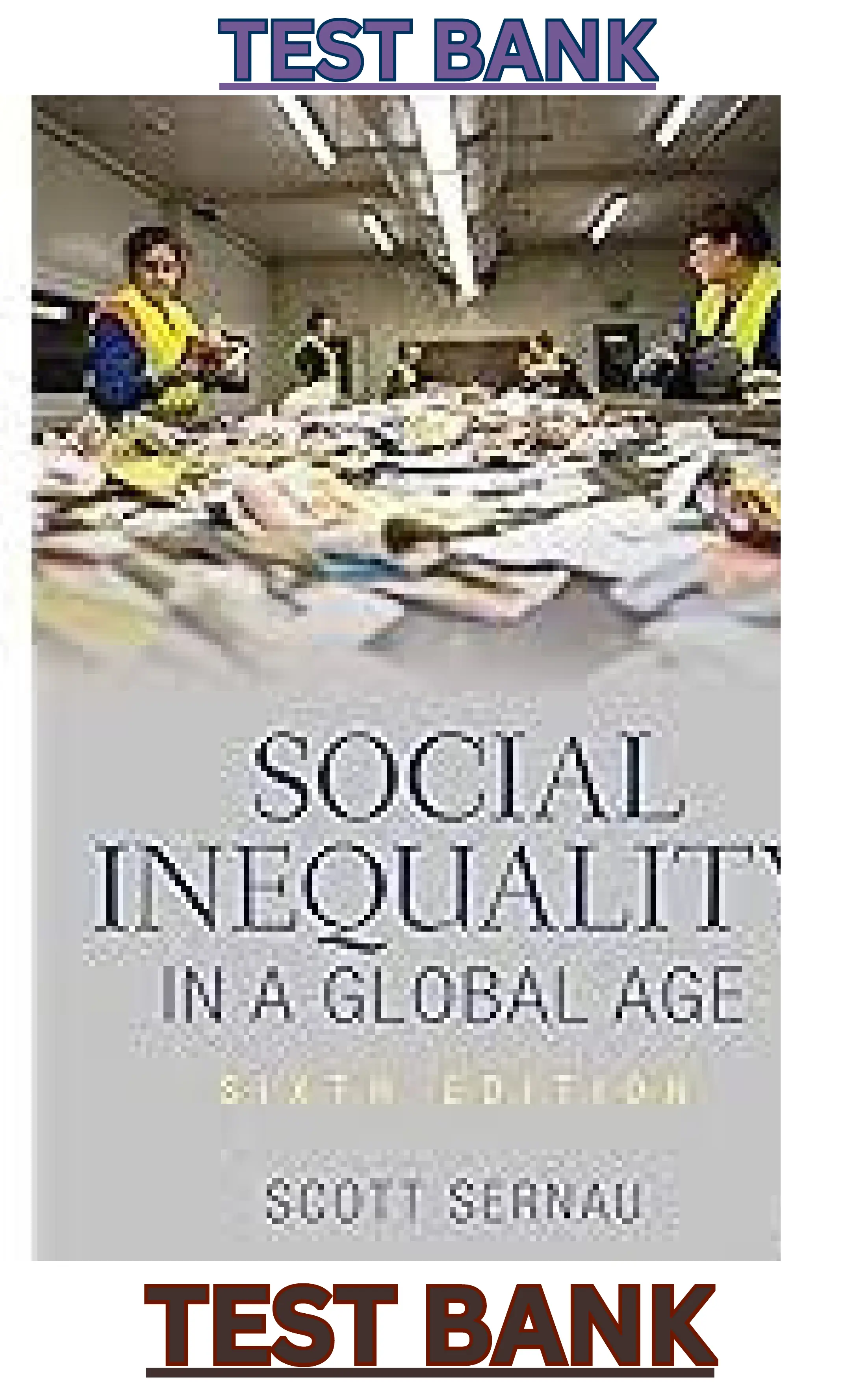 Social Inequality in a Global Age 6th Edition By Scott Sernau thumbnail