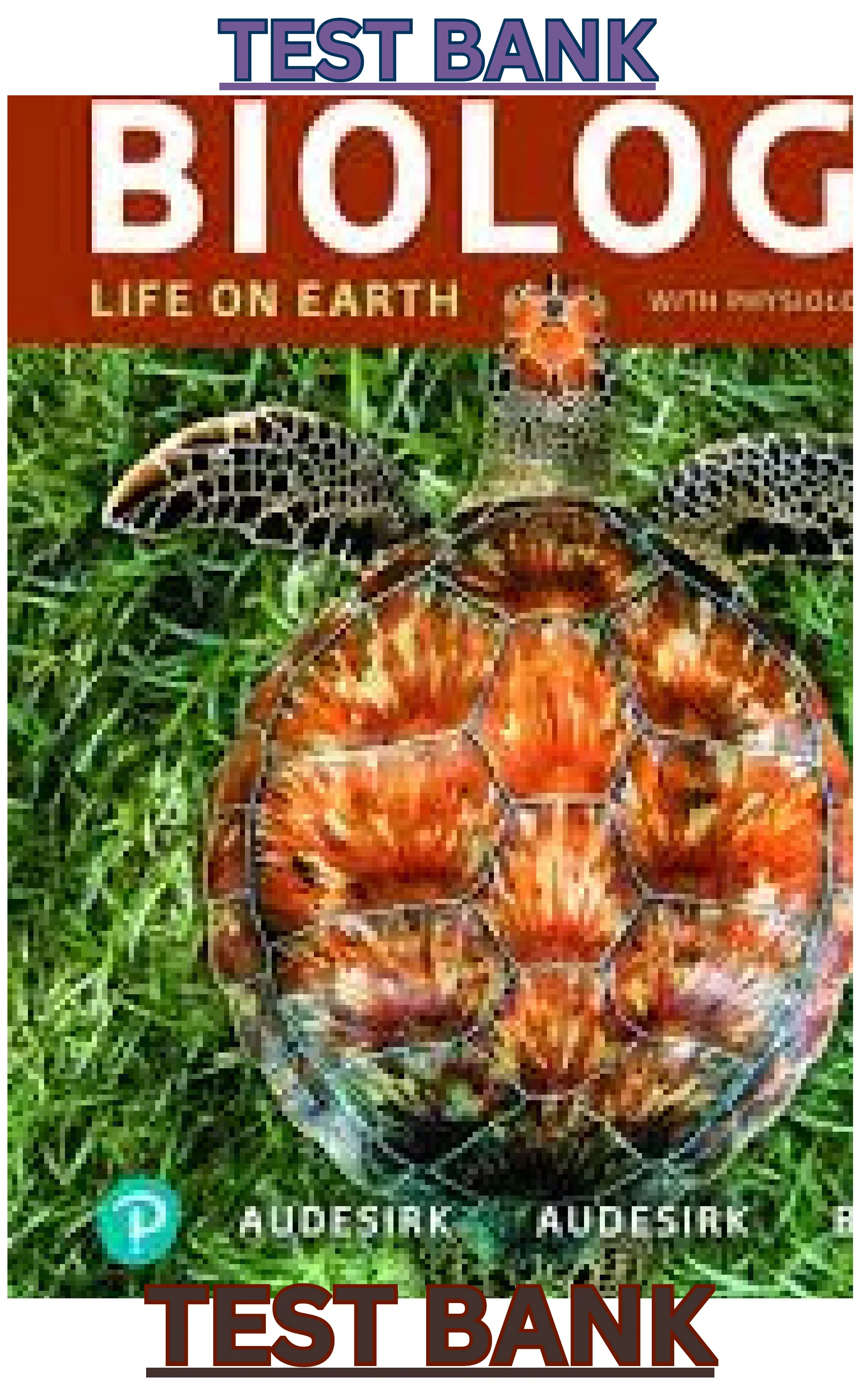 Biology Life on Earth with Physiology 12th Edition by Audesirk | thumbnail