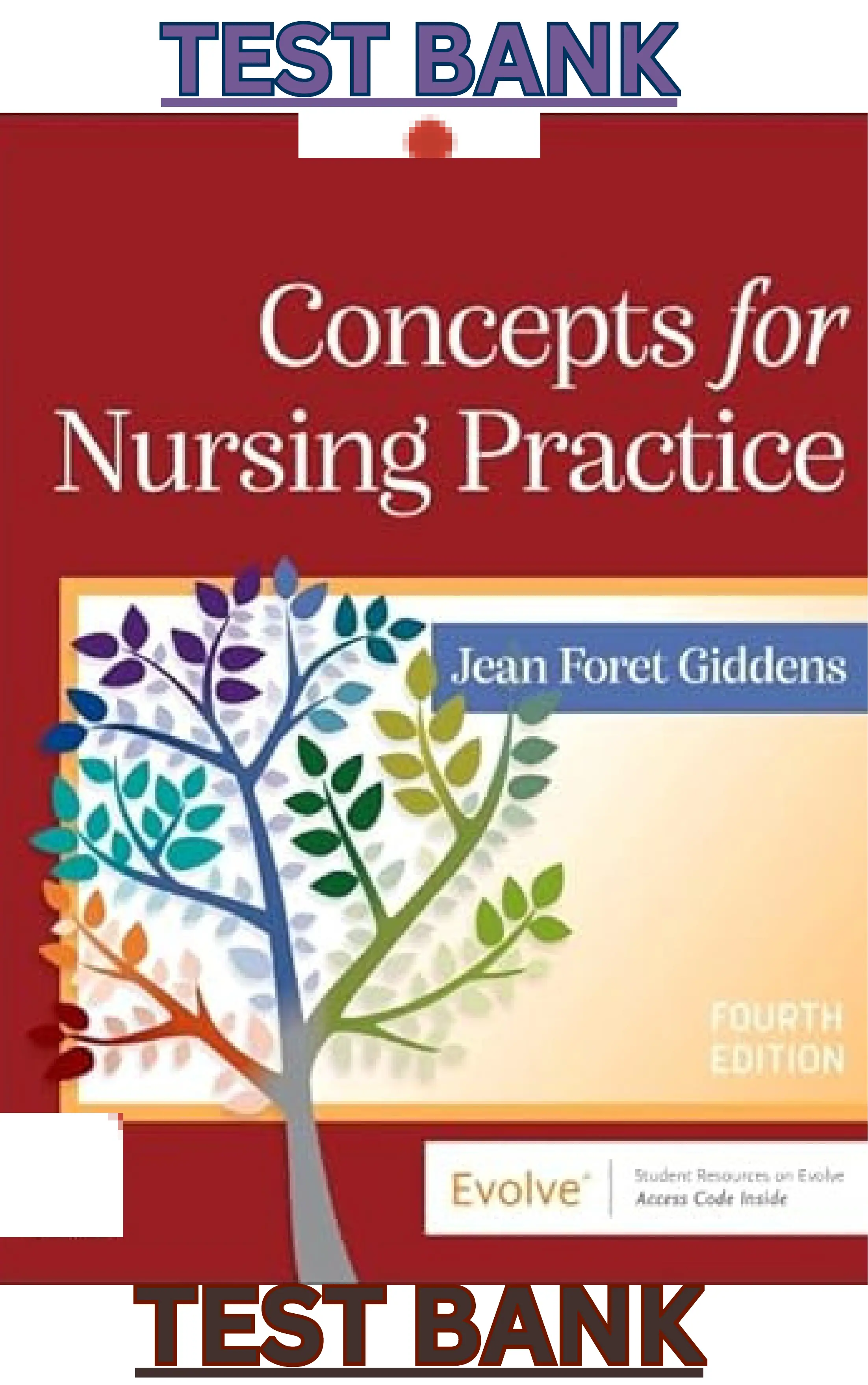 Concepts for Nursing Practice 4th Edition by Jean Foret Giddens | TEST BANK thumbnail
