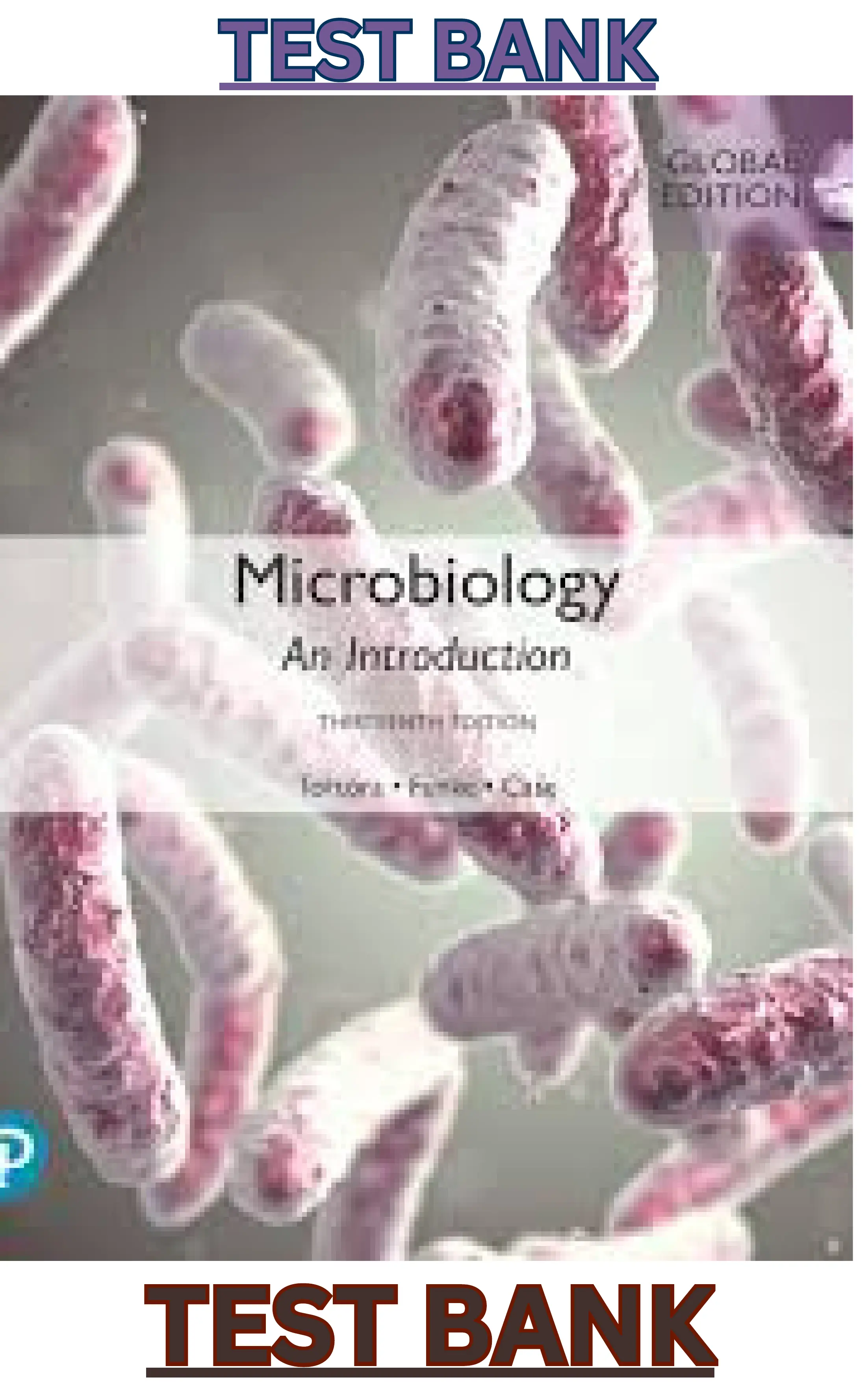 TEST BANK  for Microbiology: The Human Experience 2nd Edition by John Foster, Zarrintaj Aliabadi & Joan Slonczewski thumbnail