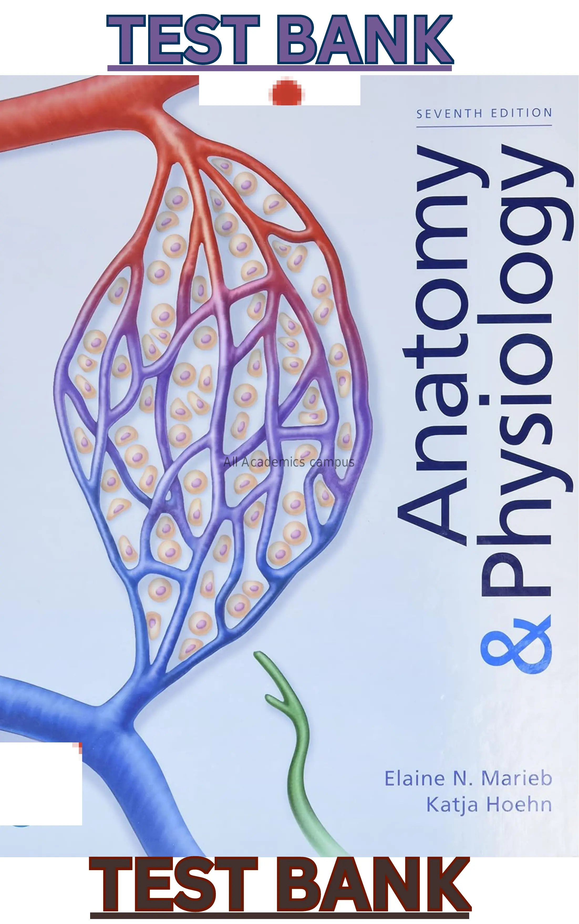 Test Bank for Anatomy & Physiology 7th Edition by Elaine Marieb & Katja Hoehn thumbnail