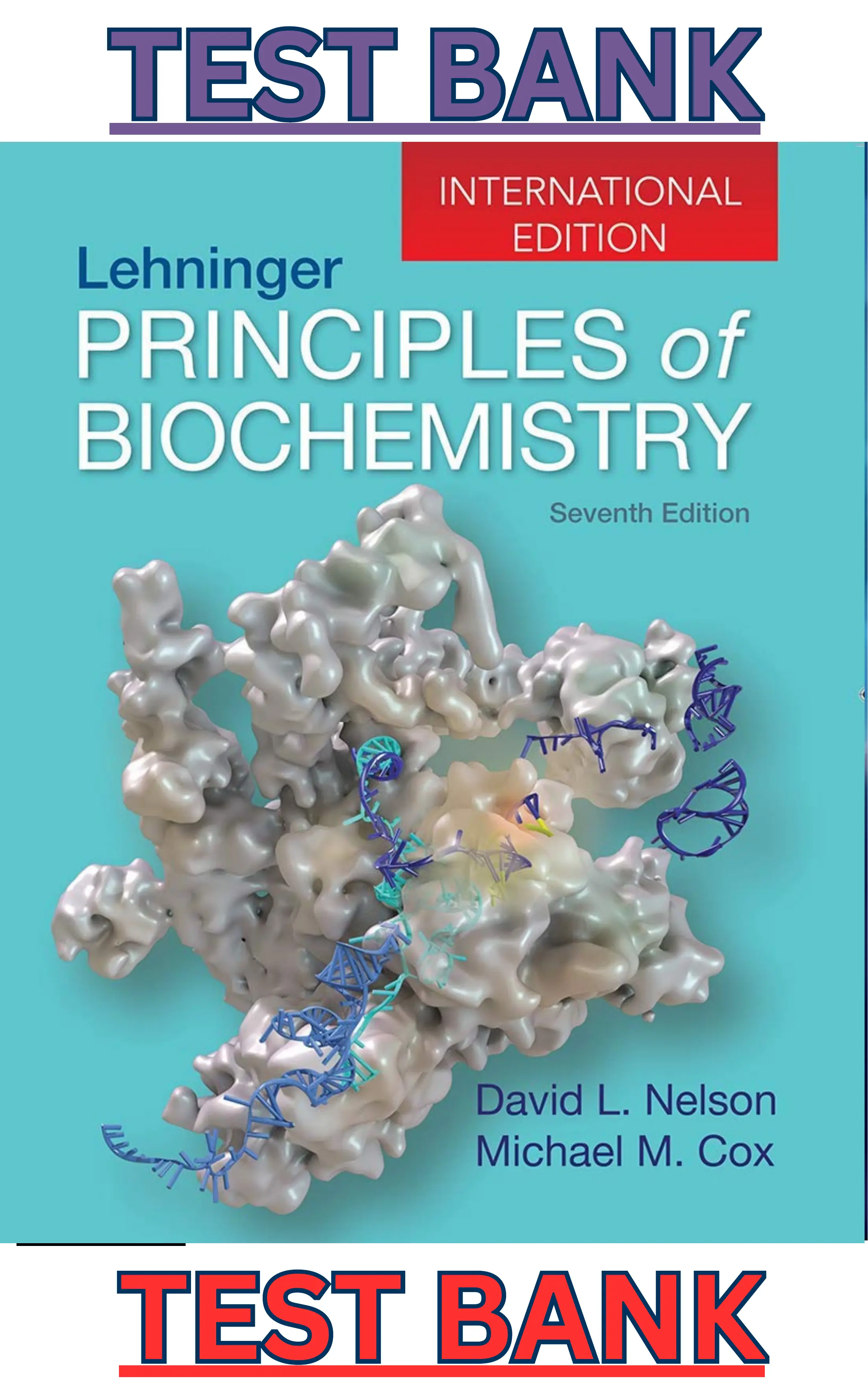Test Bank for Lehninger's Principles of Biochemistry 7th Edition by David Nelson & Michael Cox thumbnail