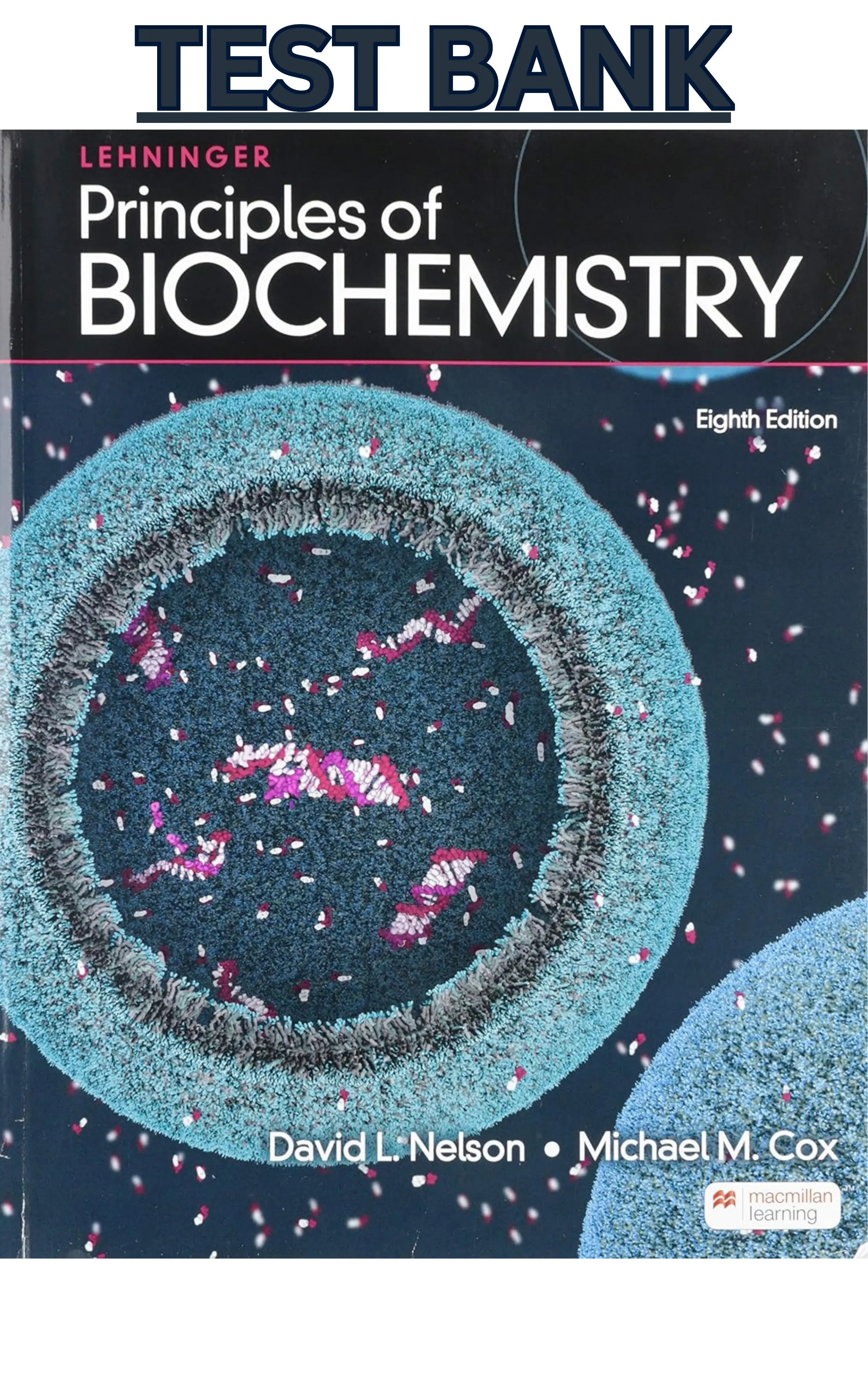 Test Bank for Lehninger Principles of Biochemistry 8th Edition by David Nelson & Michael Cox thumbnail