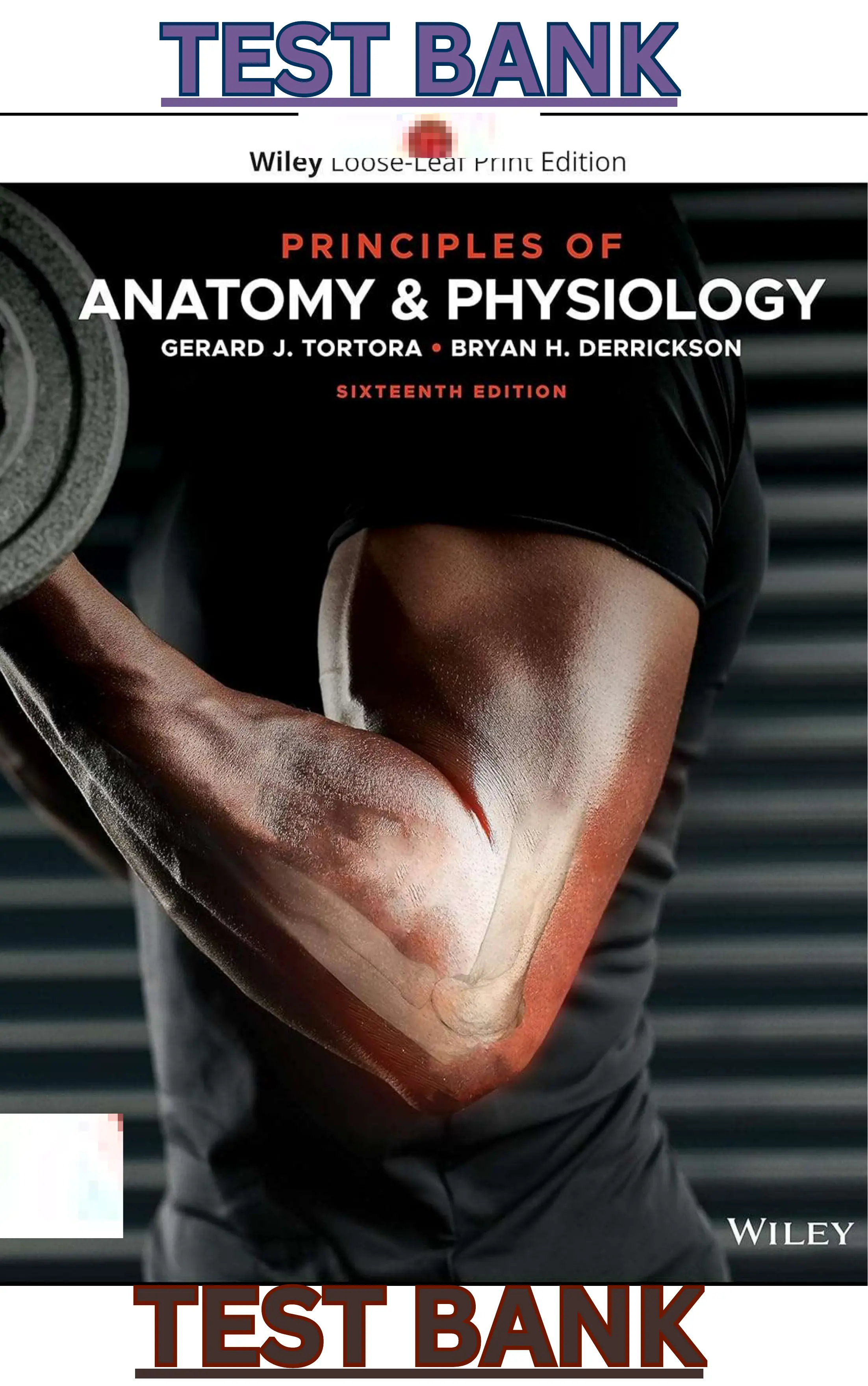 Test Bank for Principles of Anatomy and Physiology 16th Edition by Gerard Tortora & Bryan Derrickson thumbnail