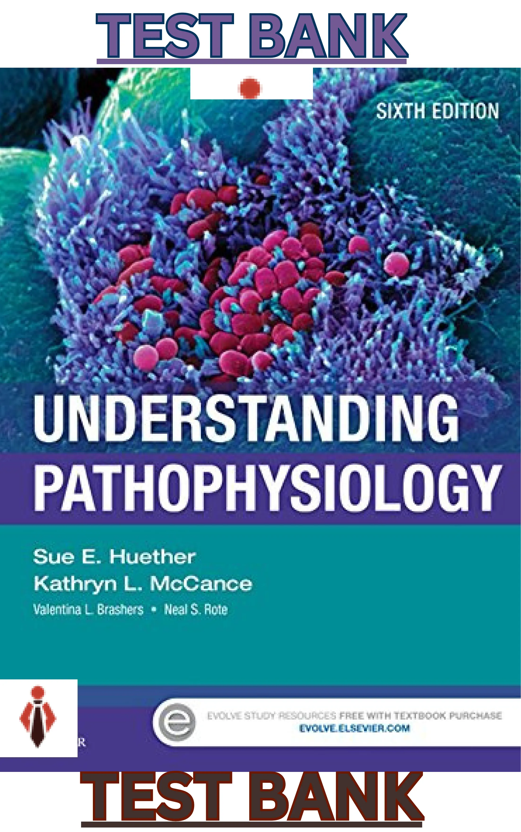 Test Bank for Understanding Pathophysiology 6E thumbnail