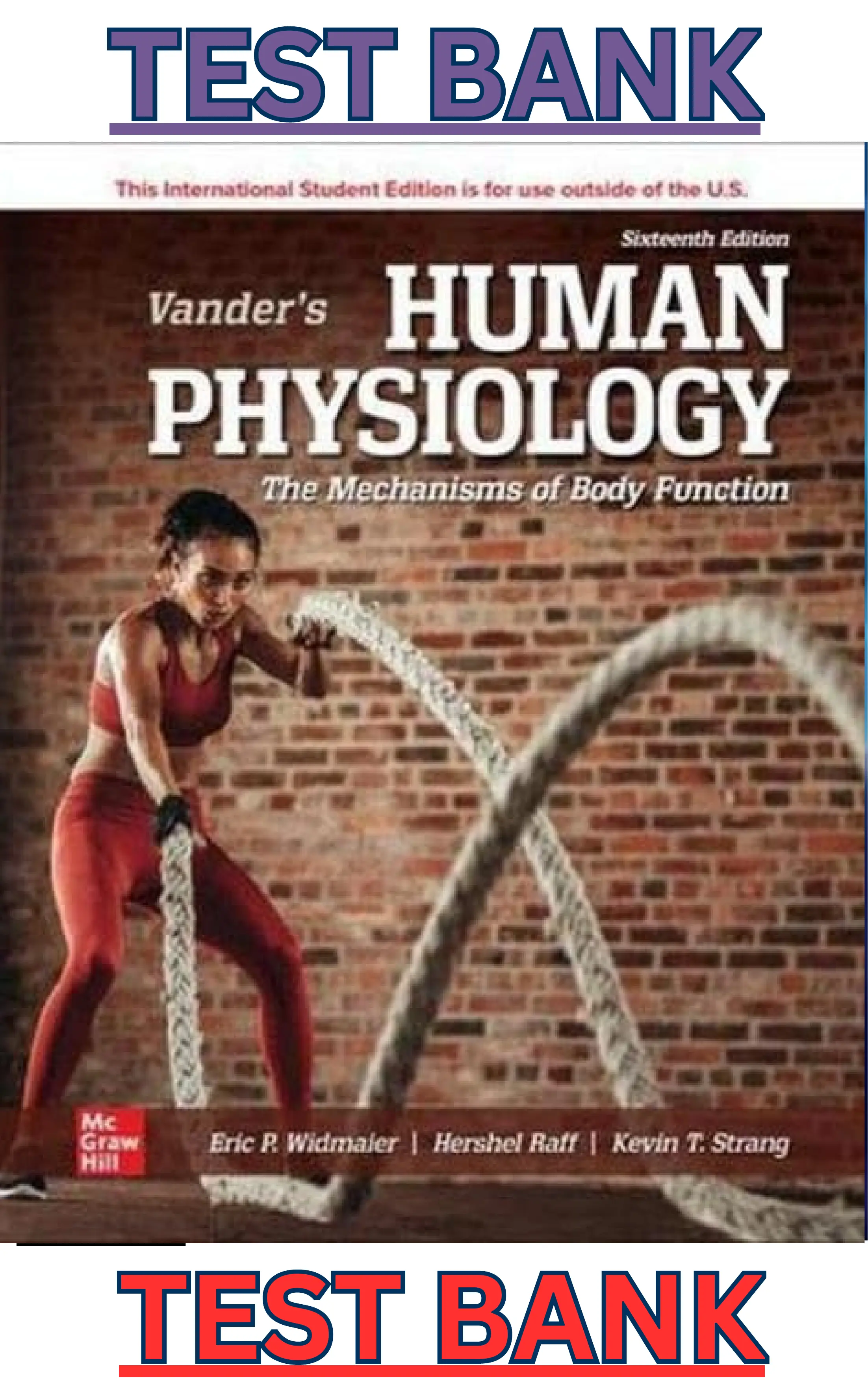 Test Bank for Vander's Human Physiology 16th Edition by Eric Widmaier, Hershel Raff & Kevin Strang thumbnail
