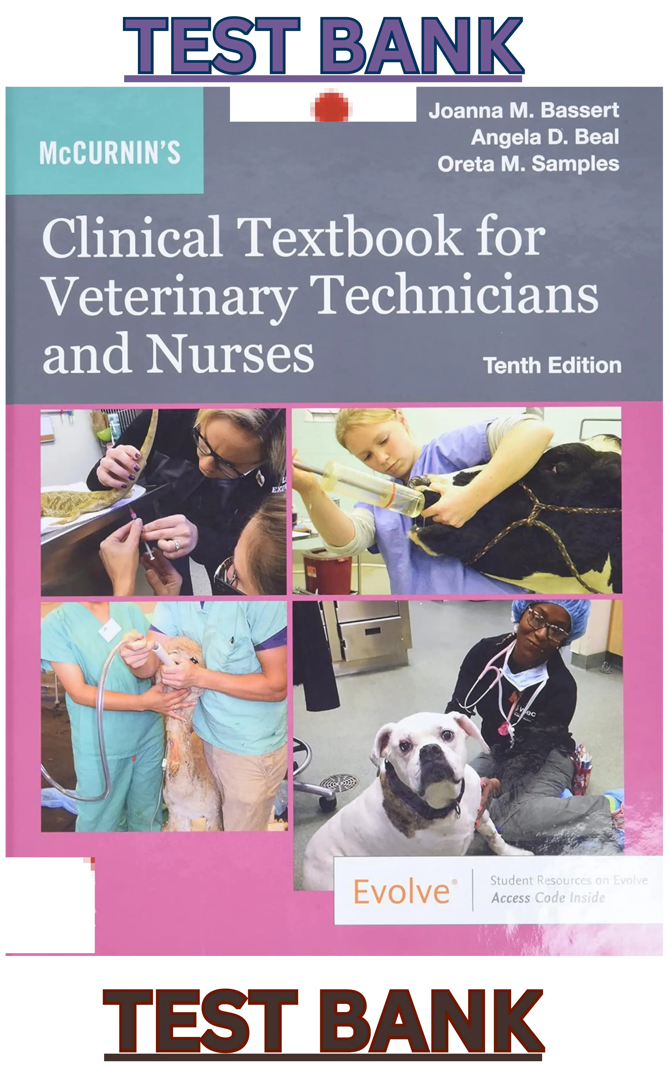 Test Bank for  McCurnin's Clinical Textbook for Veterinary Technicians 10th Edition by Joanna Bassert thumbnail