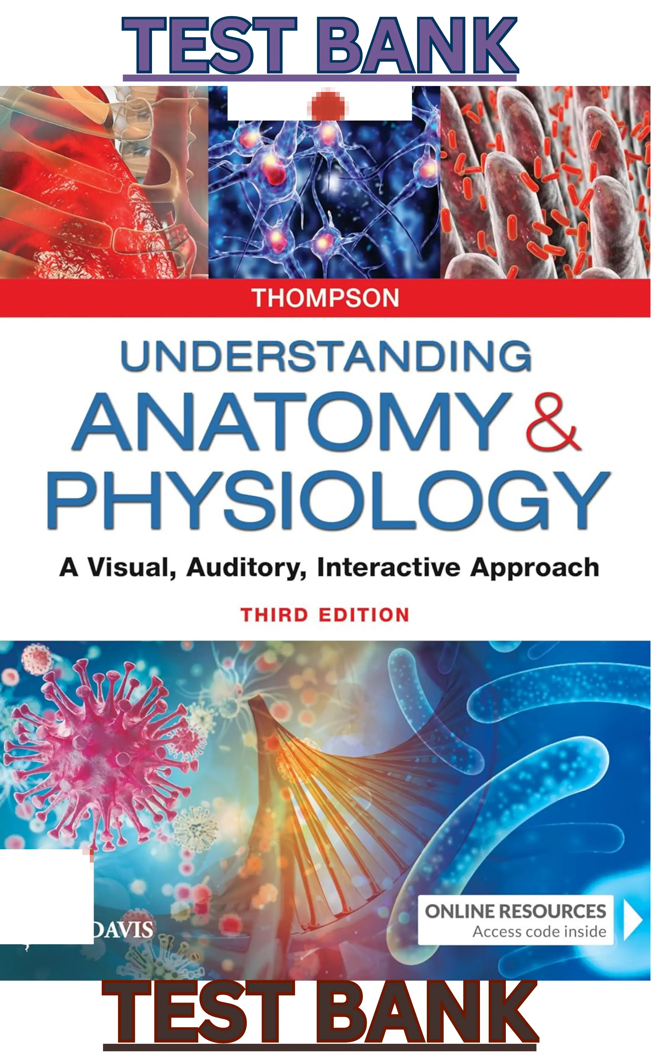 Understanding Anatomy & Physiology;A Visual,Auditory,Interactive Approach 3rd Edition by Gale Sloan Thompson TEST BANK thumbnail