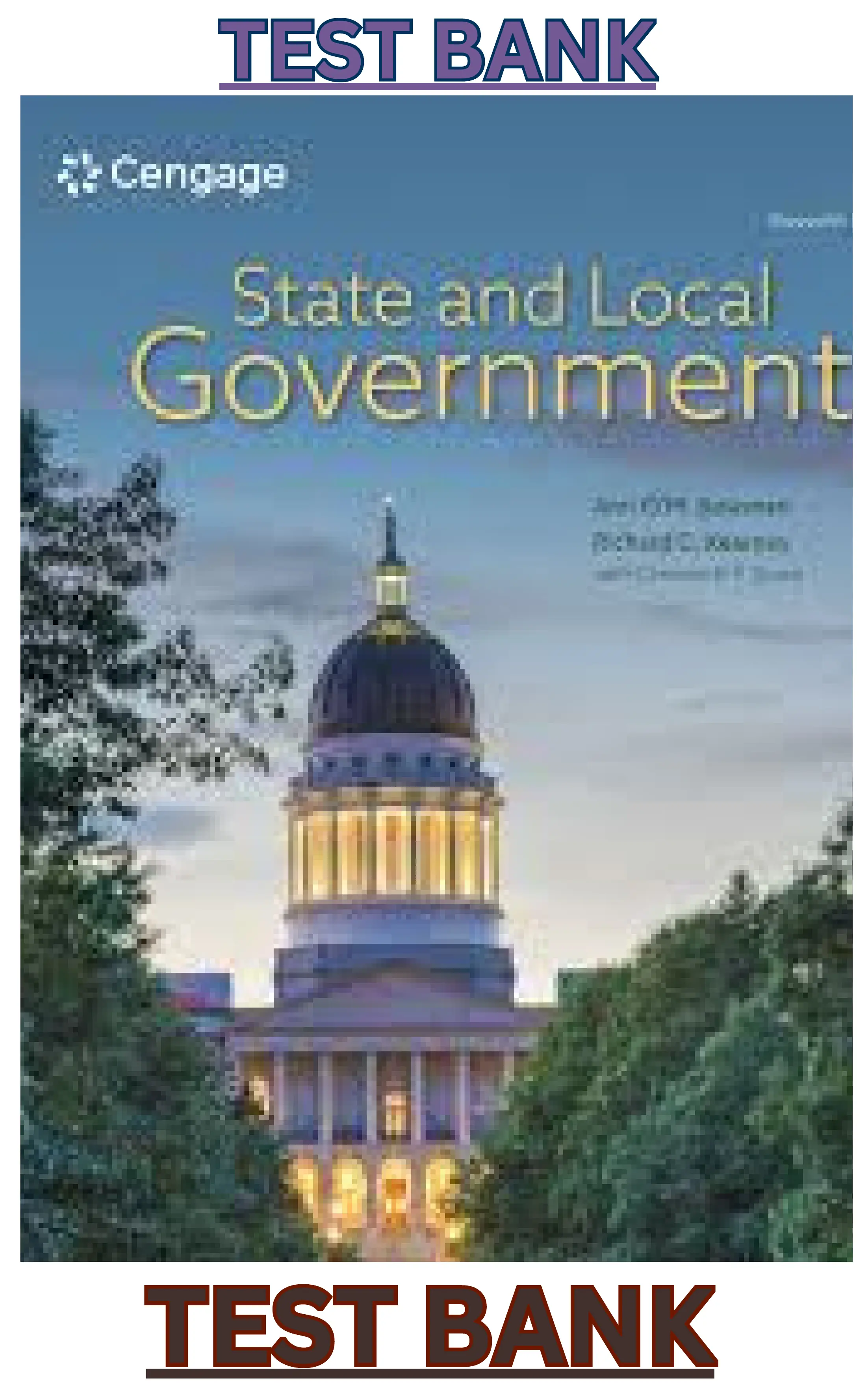 State and Local Government, 11th Edition By Ann Bowman, Richard Kearney, Carmine Scavo | thumbnail
