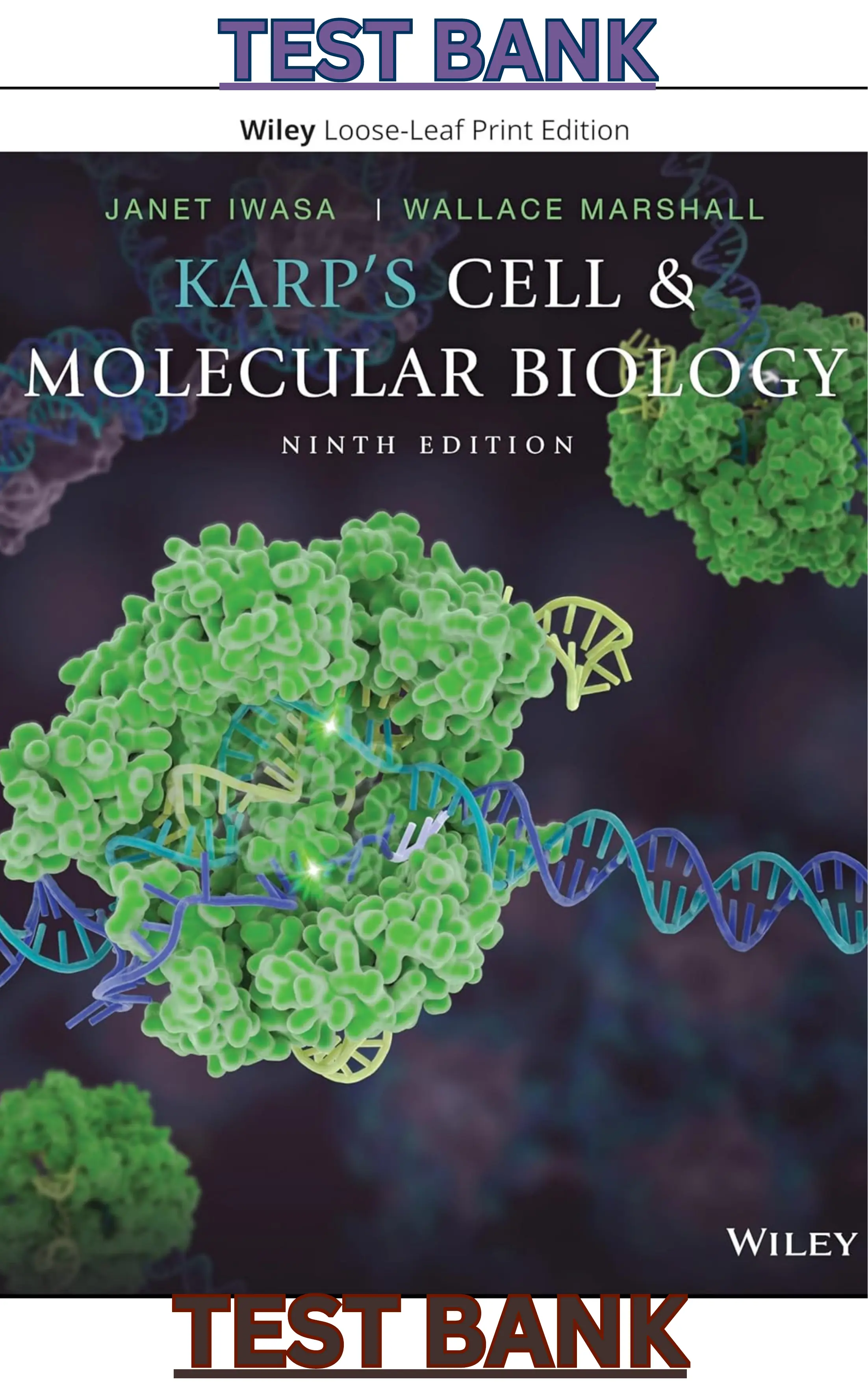 TEST BANK for Karp's Cell and Molecular Biology 9th Edition by Gerald Karp, Janet Iwasa & Wallace Marshall thumbnail