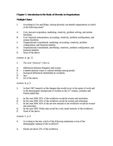 Diversity in Organizations, 2e Bell Test Bank Complete thumbnail